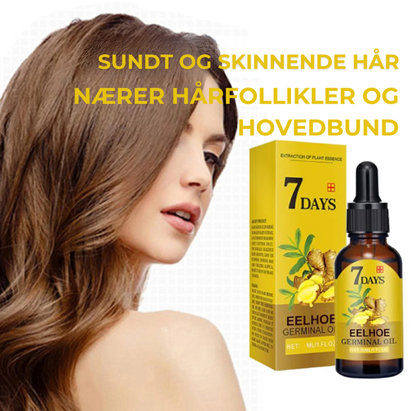 Ginger Hårplejevidunder