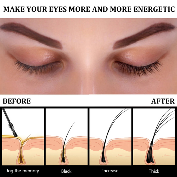 BrowBloom™ From Dull to Beautifully Full