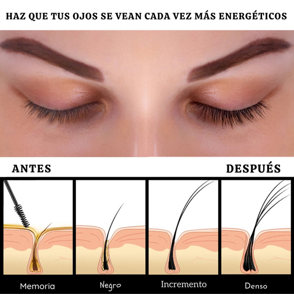 BrowBloom™ De Van Dun a Hermoso y Completo