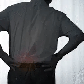Eelhoe Gewrichtsverlichtingscrème Snelle Verlichting, Blijvend Comfort