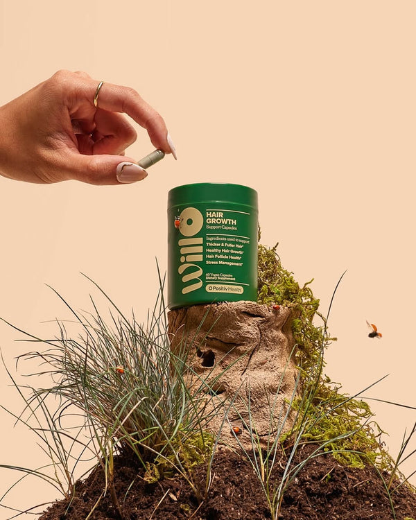 Apoyo al Crecimiento de Willo