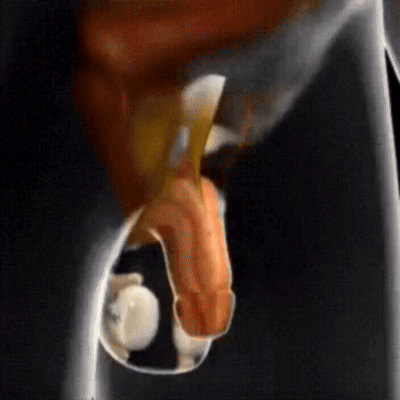 Ultimat Prestanda Massageolja