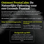 ProstaCalm | Het Enige Prostaatsupplement Dat Zich Bindt aan DHT (Zonder Testosteron te Beïnvloeden)
