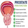 Googeer™ Prostaatverlichtingsdruppels | Weg met prostaatproblemen in slechts 7 dagen!