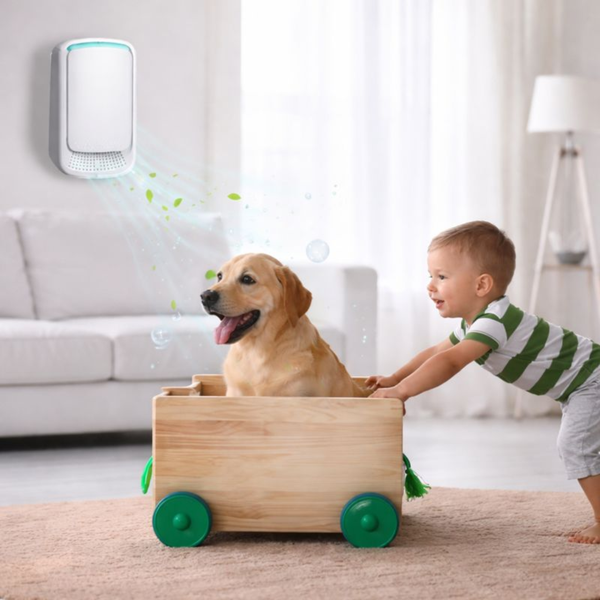 FreshAir Ionizer Plug-In Compact