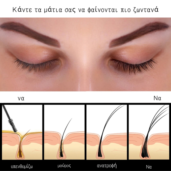 BrowBloom™ Από τα αραιά στα υπέροχα πυκνά
