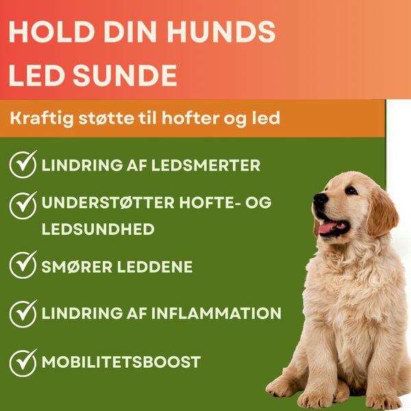 Aktiv Mobilitet Tyggetabletter til Hunde