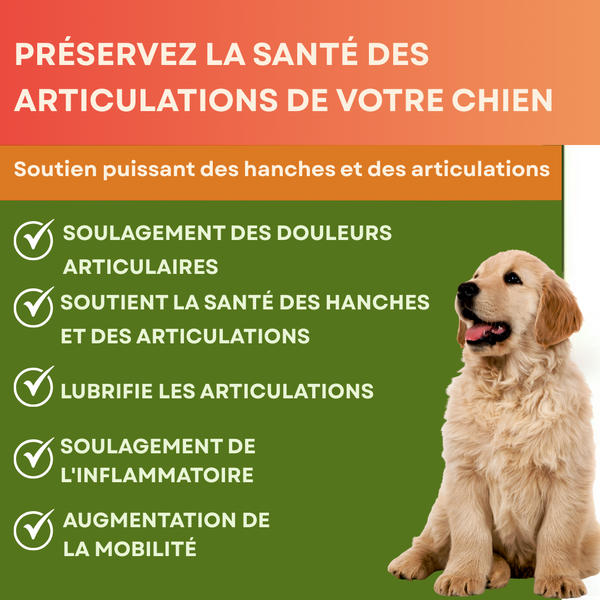 Chews Mobilité Active pour Chiens