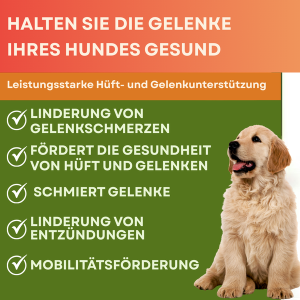 Aktive Mobilität Kaustreifen für Hunde