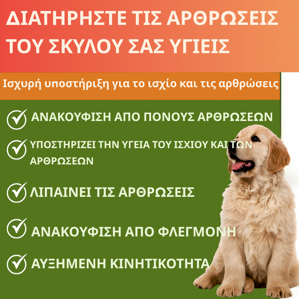 Μασώμενα Δισκία Ενεργητικής Κινητικότητας για Σκύλους