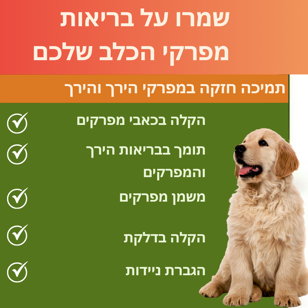 לעיסות למוביליות פעילה לכלבים