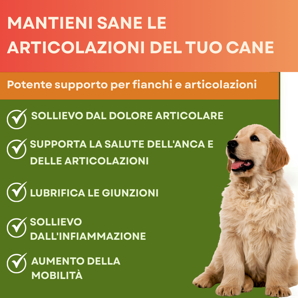 Chew per Mobilità Attiva per Cani