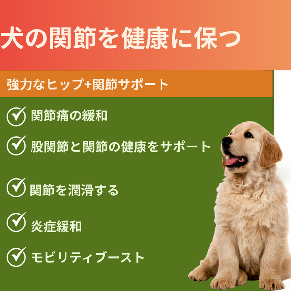 犬用アクティブモビリティチューズ