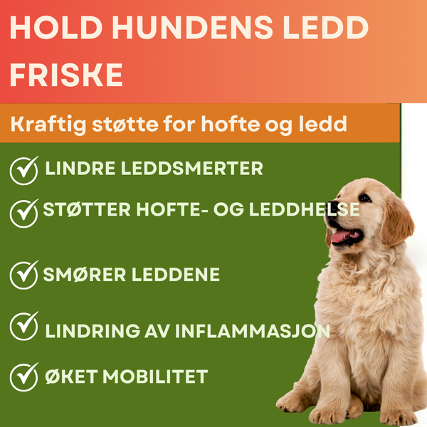 Aktiv Mobilitet Tyggeprodukter for Hunder