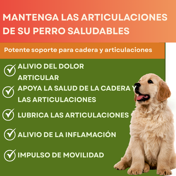 Masticables de Movilidad Activa para Perros