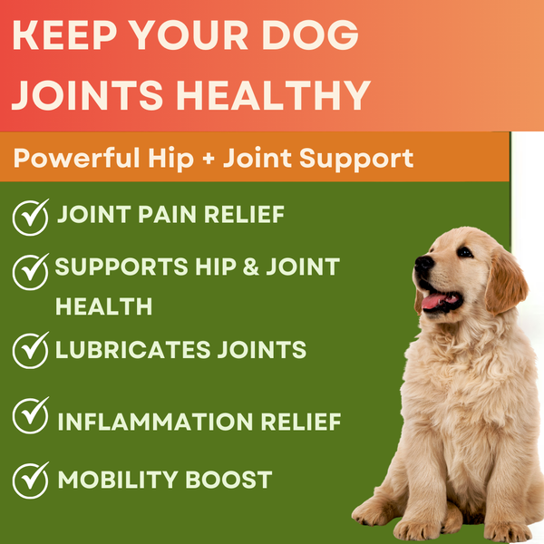 Active Mobility Chews for Dogs