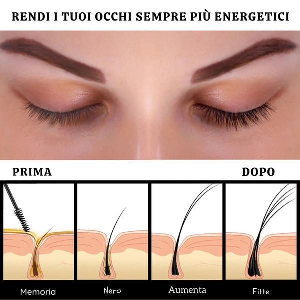 BrowBloom™ Da Spento a Splendido Pieno