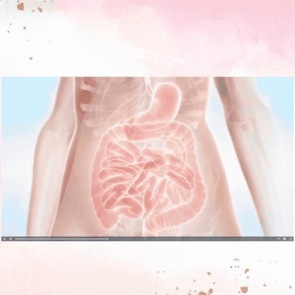 GLP Natuurlijke Probiotic Mix