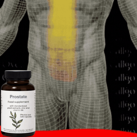 Ezyleaf Complexe Énergie Prostatique Plus