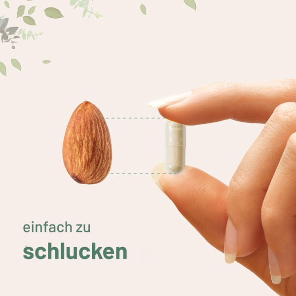 Natürliche Fokus- & Libido-Kapseln