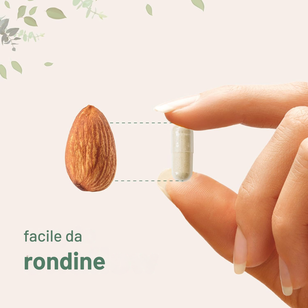 Capsule Naturali per la Concentrazione e la Libido