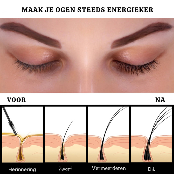 BrowBloom™  Van Dun naar Prachtig Vol