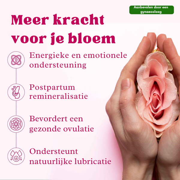 SHE-LAJIT Honingsticks | Herstel hormonale balans en vrouwelijke energie in slechts 7 dagen - PharmaXtra